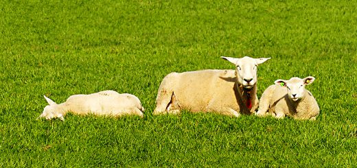 Weekly Roundup 190423