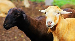 Weekly Roundup 190430 (Weekly Roundup, 30th April 2019)