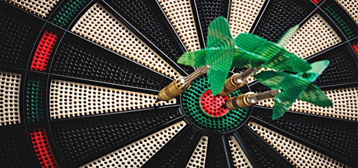 AIM IHT portfolio May 2019