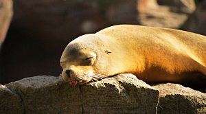 Lazy Portfolios 6 (Lazy Portfolios 6 &ndash; Six or more funds)