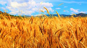 Stock screeners May 2019 (Stock Screeners &ndash; May 2019)