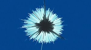 Trend following in a crisis (Trend-Following in a Crisis)