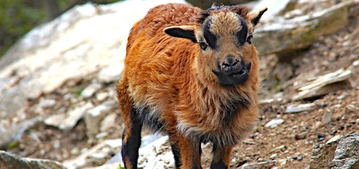 Weekly Roundup 190507