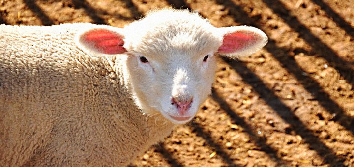 Weekly Roundup 190521