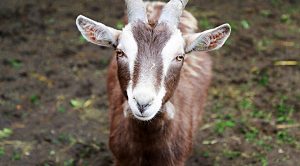 Weekly Roundup 190618 (Weekly Roundup, 19th June 2019)