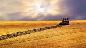 Joe Vidich (Joe Vidich &ndash; Harvesting Losses)