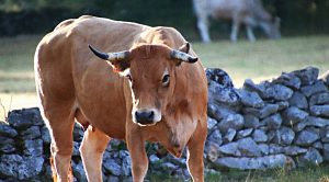 Weekly Roundup 190730 (Weekly Roundup, 30th July 2019)