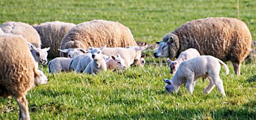 Weekly Roundup 191001