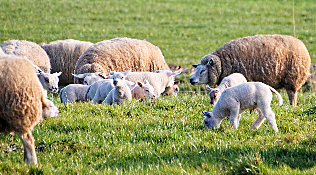 Weekly Roundup 191001