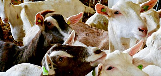 Weekly roundup 190924