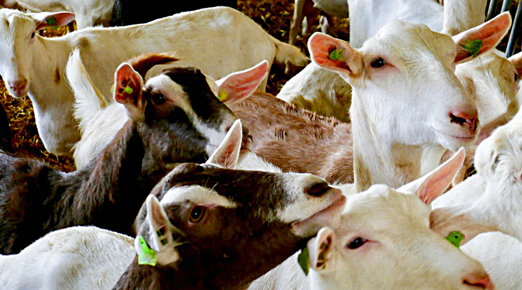 Weekly roundup 190924