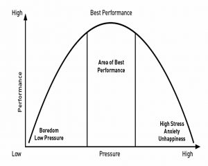 Stress (The Behavioural Investor 1 &ndash; Sociology, Physiology & The Brain)