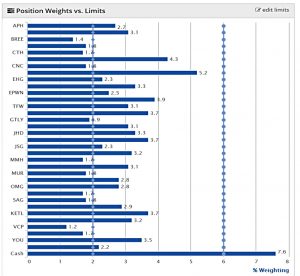 AIM IHT 191127 position weights (AIM IHT Portfolio Update 29 &ndash; November 2019)