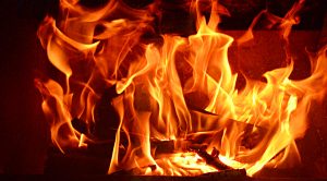 The FIRE debate (The FIRE Debate)