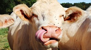 Weekly Roundup 200114 (Weekly Roundup, 13th January 2020)