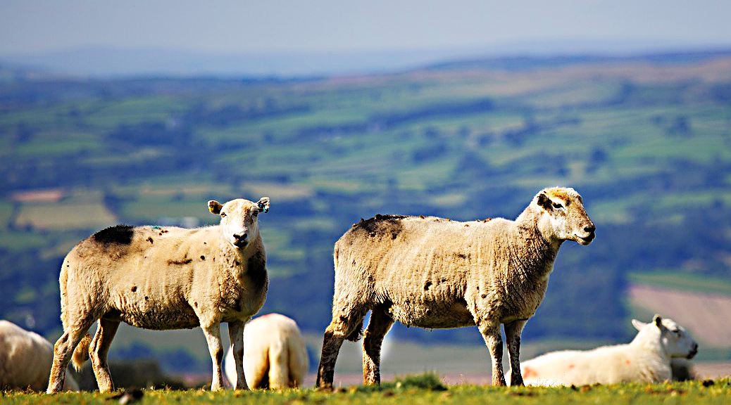 Weekly Roundup 200120