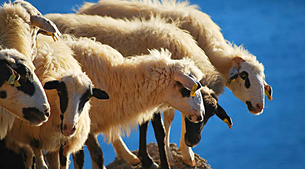 Weekly Roundup 200224