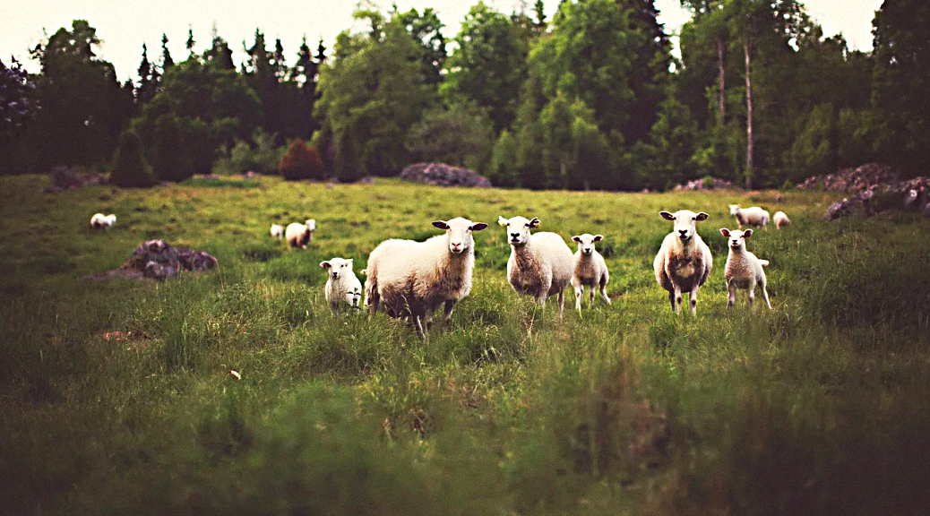 Weekly Roundup 200309