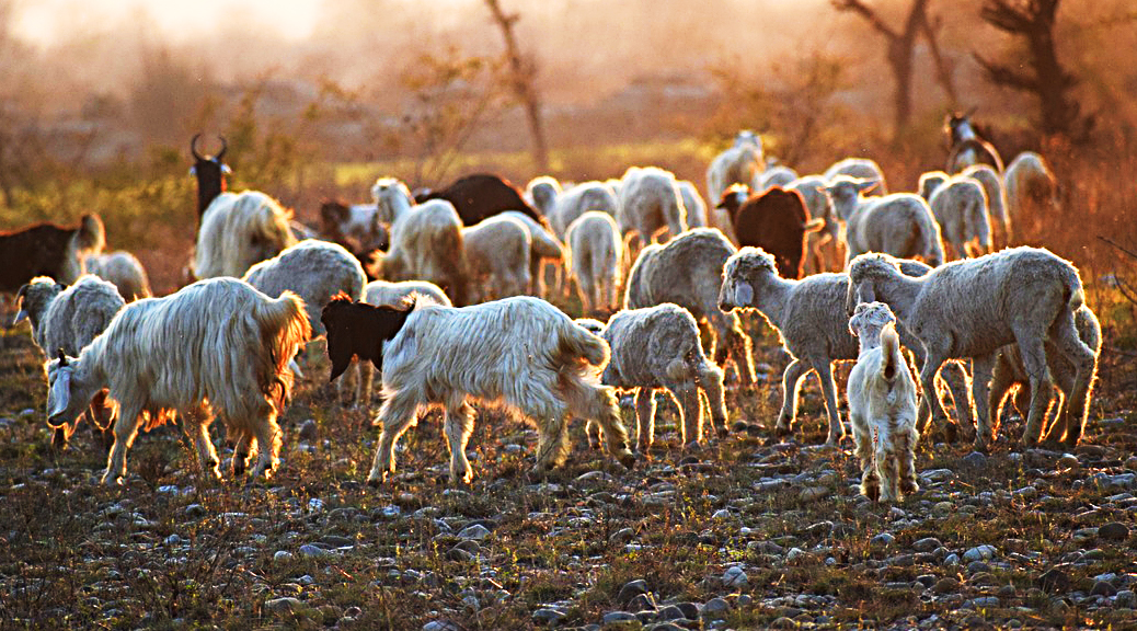 Weekly Roundup 200323