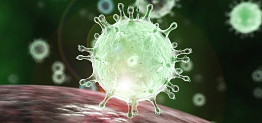 Coronavirus Bargains 4