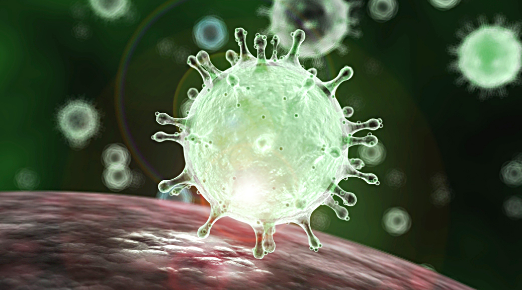 Coronavirus Bargains 4