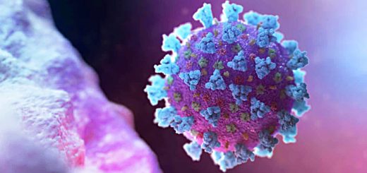 Coronavirus Bargains 5