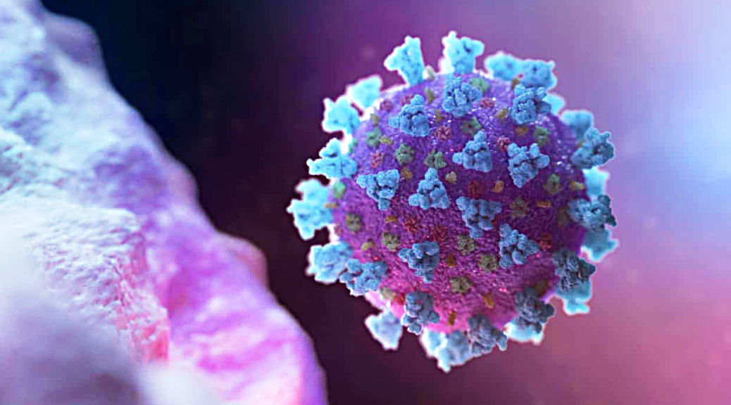 Coronavirus Bargains 5