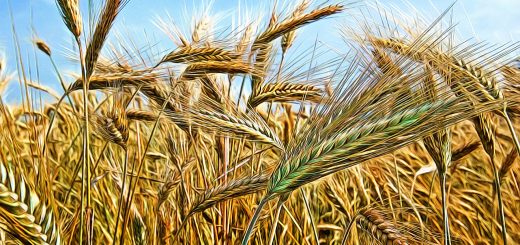 Stock Screeners May 2020