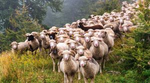 Weekly Roundup 200528 (Weekly Roundup, 26th May 2020)