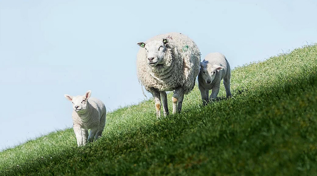 Weekly Roundup 200601