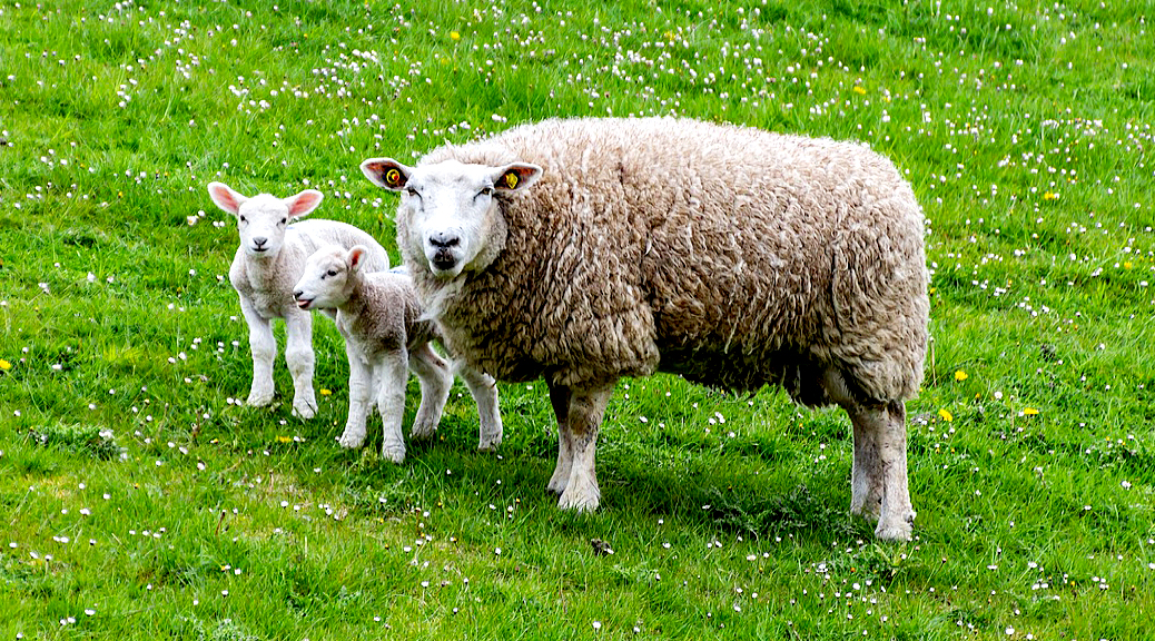 Weekly Roundup 200615