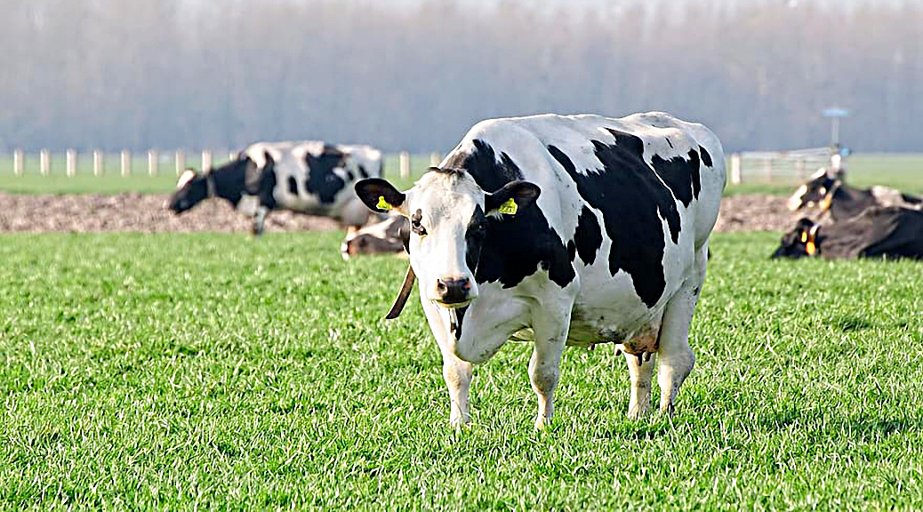 Weekly Roundup 200622