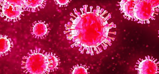 Coronavirus Bargains 6