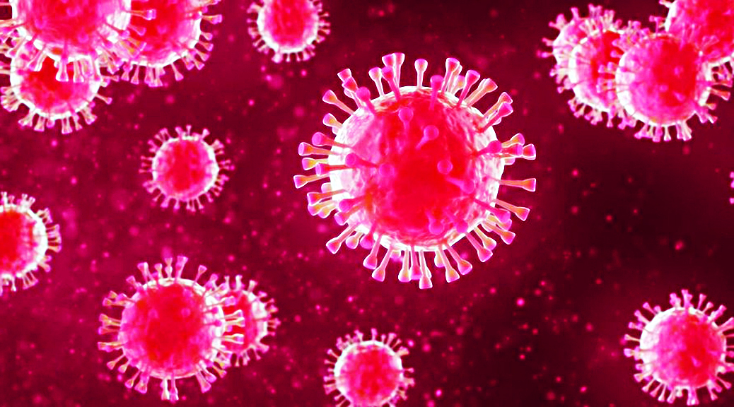 Coronavirus Bargains 6