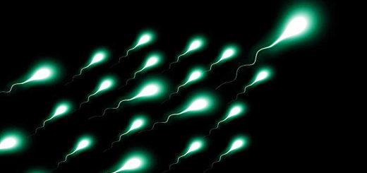 Unconstrained portfolio 1