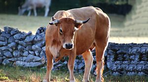 Weekly Roundup 200720 (Weekly Roundup, 20th July 2020)