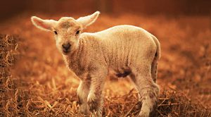 Weekly Roundup 200803 (Weekly Roundup, 3rd August 2020)