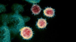 August 2020 (August 2020 &ndash; Trades, Tips and Funds)