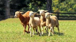 Weekly Roundup 200824 (Weekly Roundup, 24th August 2020)