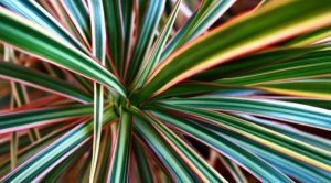 Bessembinder 3 &ndash; Value and Growth (Bessembinder 3 &ndash; Value and Growth)