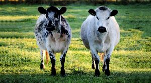 Weekly Roundup 200914 (Weekly Roundup, 14th September 2020)