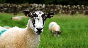 Weekly Roundup 200921 (Weekly Roundup, 21st September 2020)