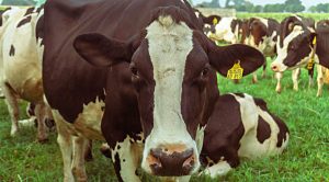 Weekly Roundup 200928 (Weekly Roundup, 28th September 2020)