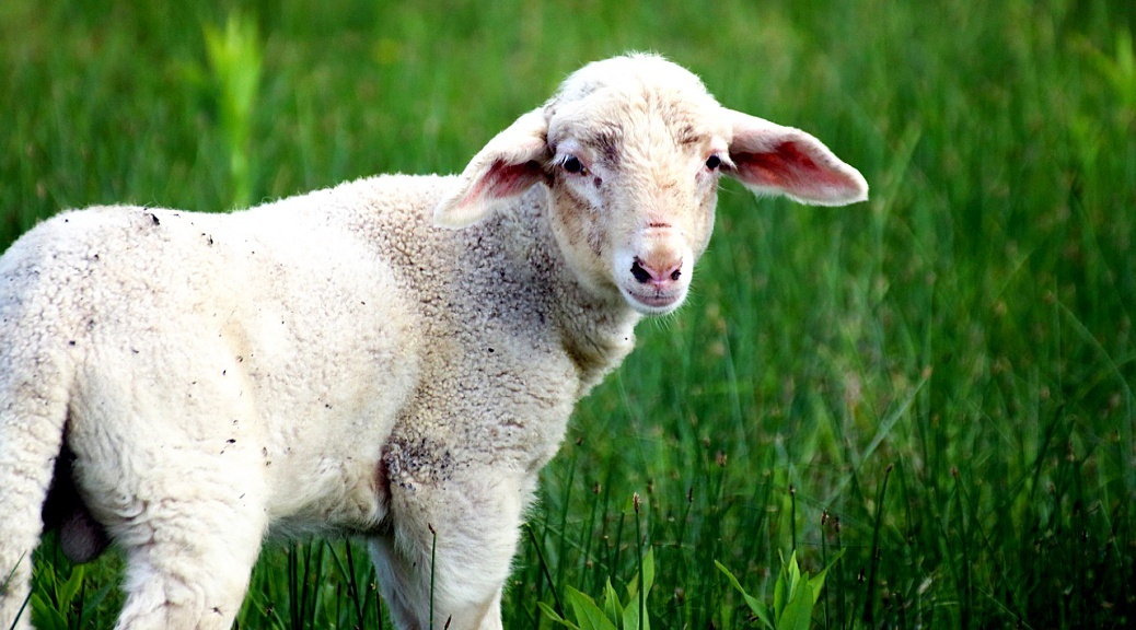 Weekly Roundup 201005