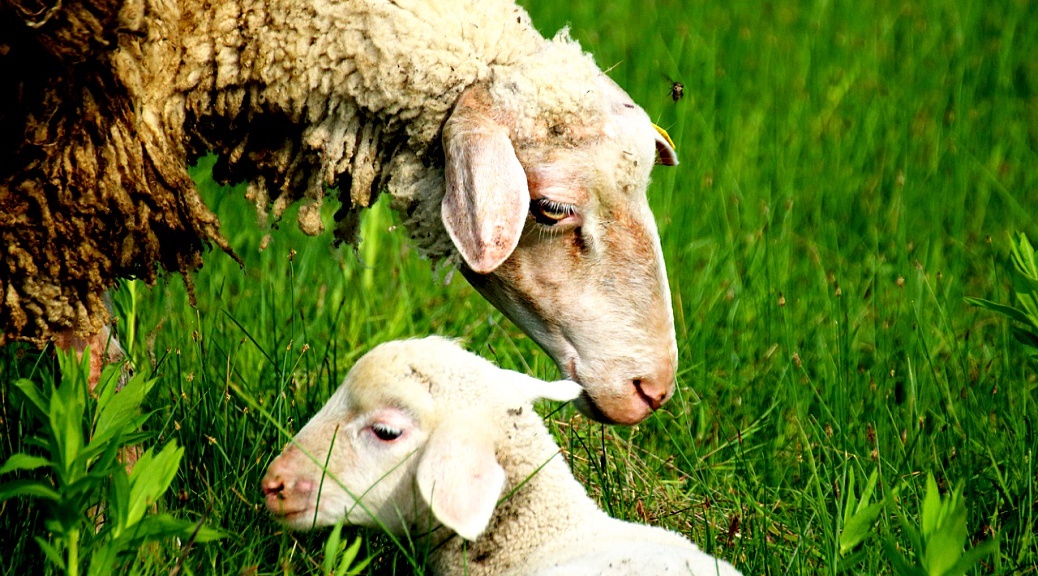 Weekly Roundup 201012