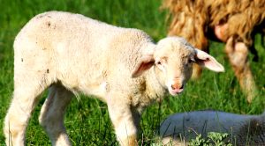 Weekly Roundup 201019 (Weekly Roundup, 19th October 2020)