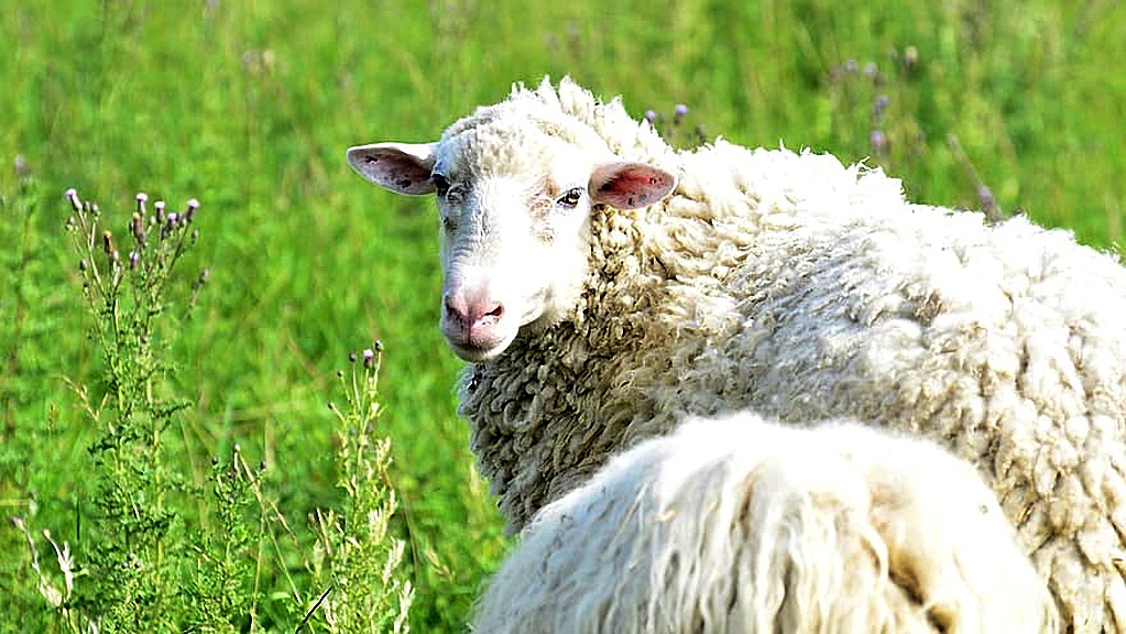 Weekly Roundup 201026