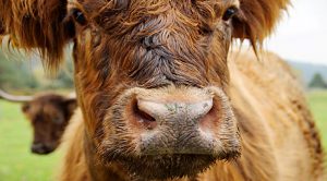 Weekly Roundup 201102 (Weekly Roundup, 2nd November 2020)