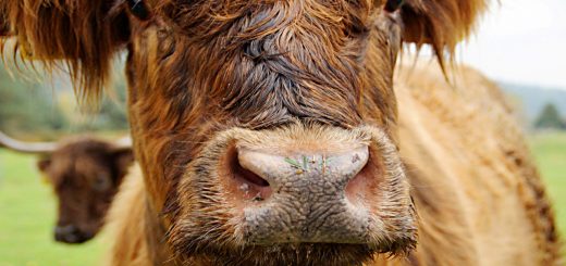 Weekly Roundup 201102