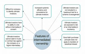 Features of intermediated ownership